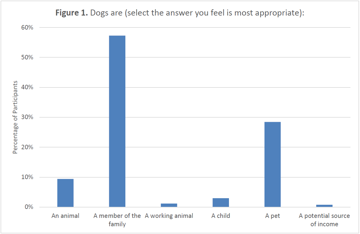 Bar chart titled “Dogs are (select the answer you feel is most appropriate).” Fifty-seven percent of respondents selected “A member of the family,” making it the most common response. Twenty-eight percent selected “A pet.” Smaller percentages selected “An animal” (9%), “A child” (3%), “A working animal” (1%), and “A potential source of income” (less than 1%).